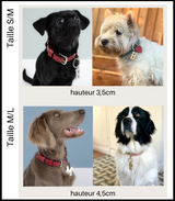 médaille pour chien collier chien médaille dorée argent doré collection ledog ASTRÉ