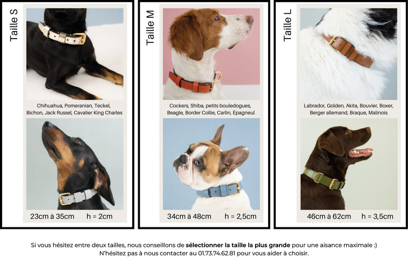 collier chien en cuir, collection ledog by ASTRÉ, accessoire chien, collier en cuir, cuir italien , collier gris, cuir grainé gris perla